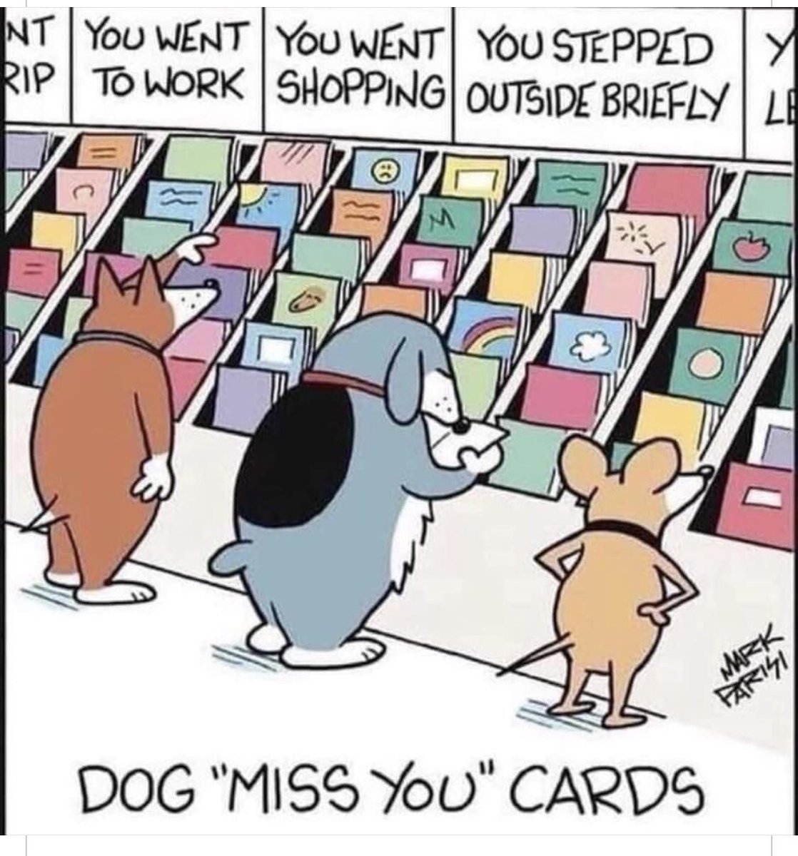 Paddyspurpose01 tweet media