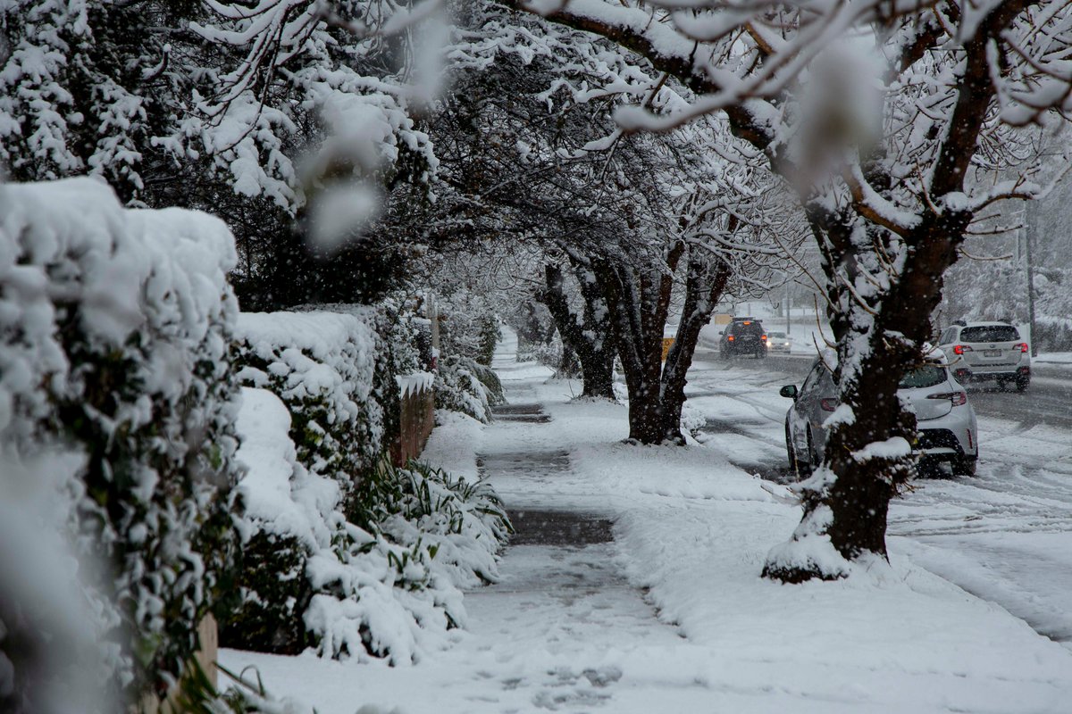 mrwillreid's tweet photo. Amazing dump of #snow  in #OrangeNSW  this morning! https://t.co/RuILMaeNNT