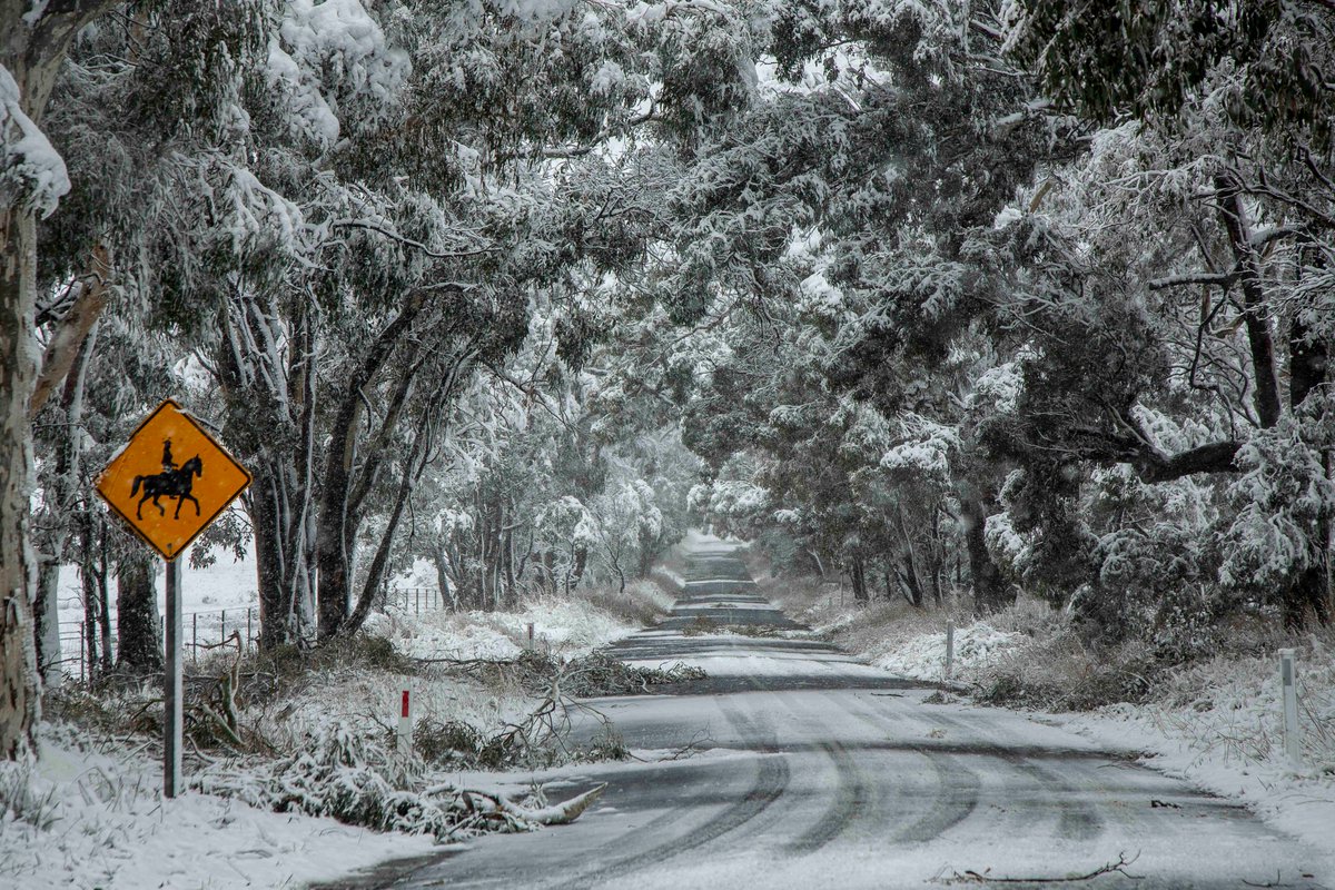 mrwillreid's tweet photo. Amazing dump of #snow  in #OrangeNSW  this morning! https://t.co/RuILMaeNNT