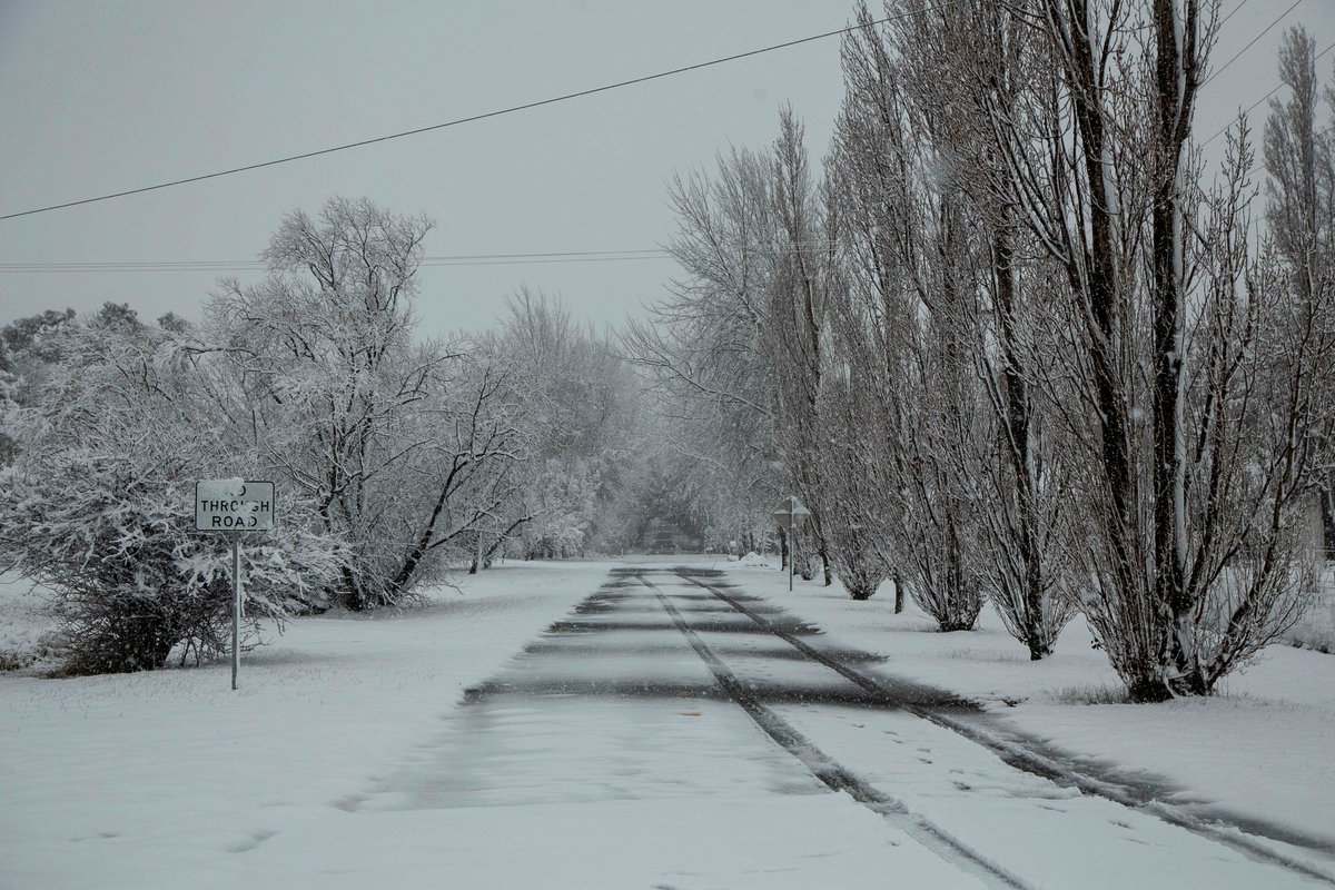 mrwillreid's tweet photo. Amazing dump of #snow  in #OrangeNSW  this morning! https://t.co/RuILMaeNNT