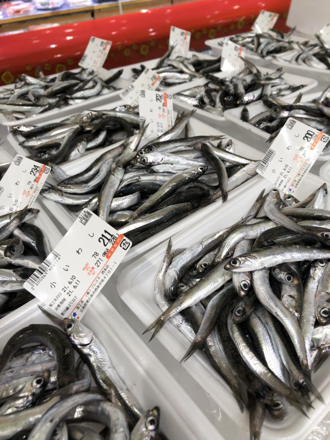 フレスタ公式アカウント 本日小いわし解禁です フレスタ西条店からお届け 西条店には こんな武器が用意されてました これで簡単にお刺身が出来ます 鮮魚部 丸田チーフより 捌き方と虎の巻 笑 どうぞお持ち帰り下さい との事です