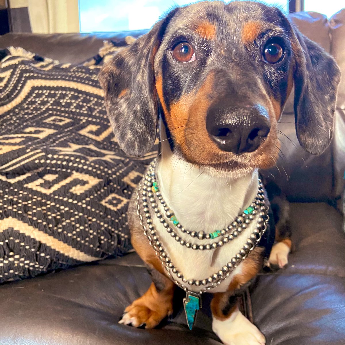 kyleycait's tweet photo. Just a weenier pic https://t.co/TRzdXzgng6