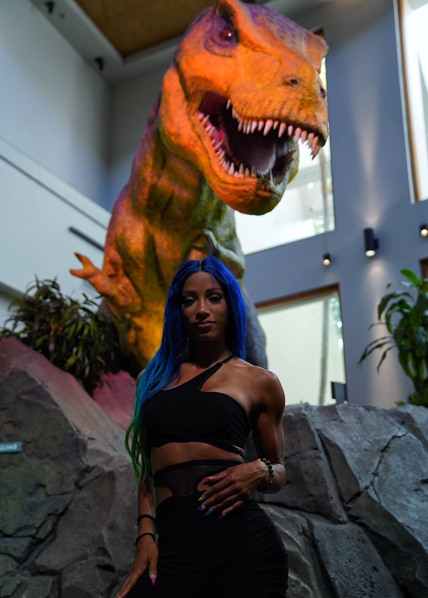 WWE's tweet photo. .@SashaBanksWWE had the chance to ride the brand new Jurassic World VelociCoaster earlier today! @UniversalORL https://t.co/tngEAM2Hnj