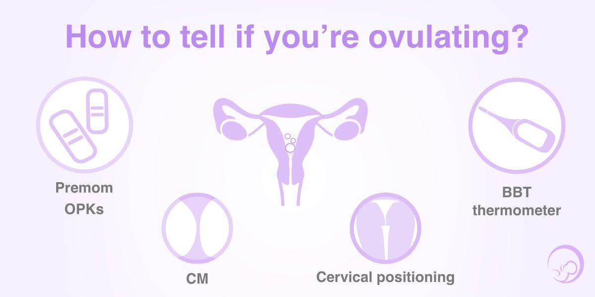 premomfertility's tweet photo. "Did I ovulate?" Click the link and let's find out!
https://t.co/68Ay2jt1QL
#womenshealth #WednesdayWisdom #premomapp #fertility #ovulationtracking #opks #pregnancy #ttc #baby #tryingtoconceive https://t.co/JuDEy9U77x