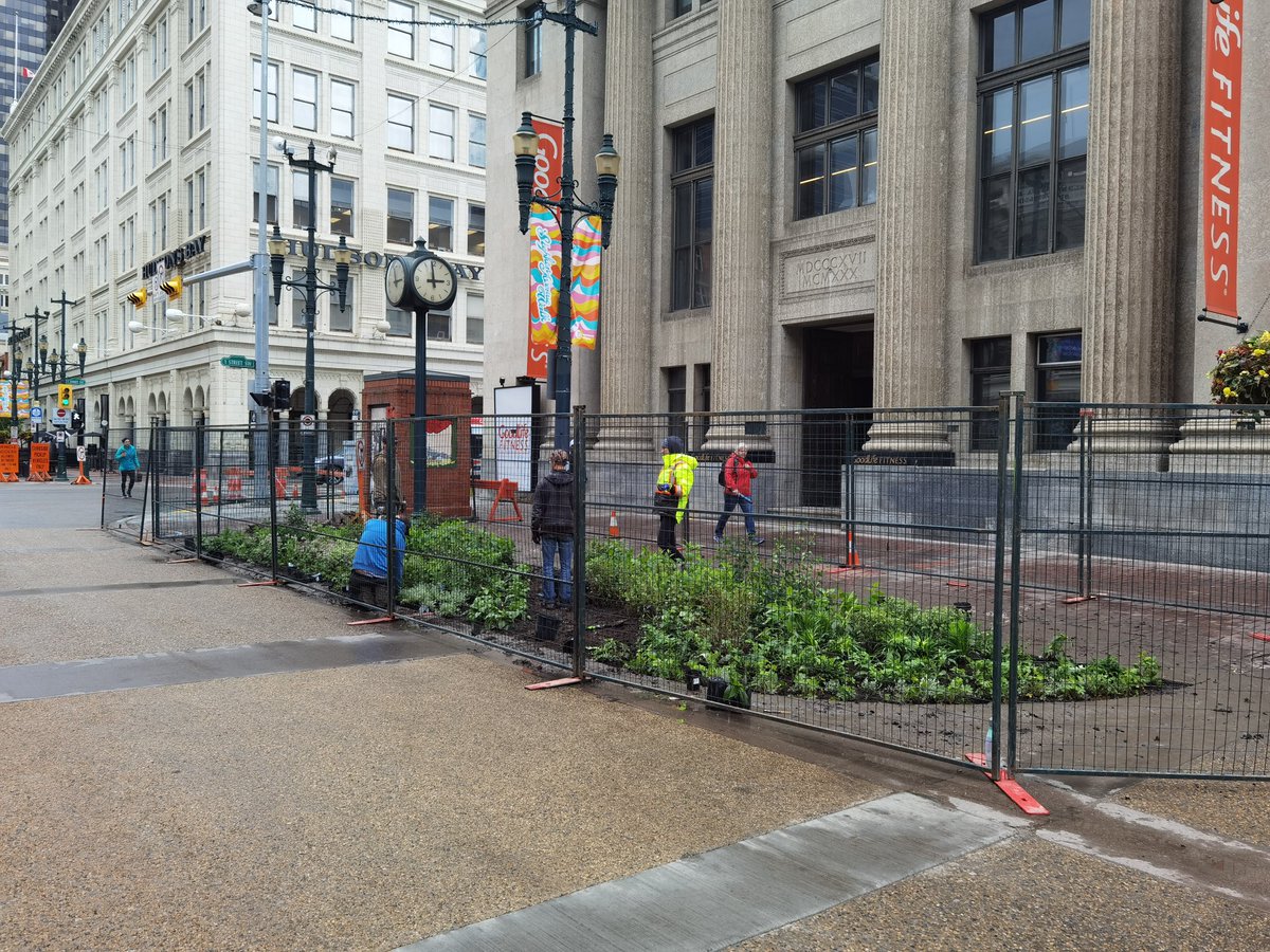 New plants going in on Stephen Ave at 1st st sw. #yyc @downtowncalgary