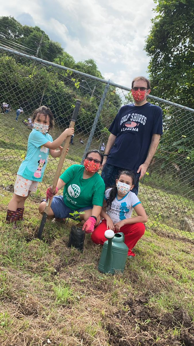 04Jpa's tweet photo. We celebrated 2021 World Environment Day by planting Guayacanes around our neighborhood. #PlanetLatam #Iwork4Dell @DellPanama https://t.co/Mxthmk8os2