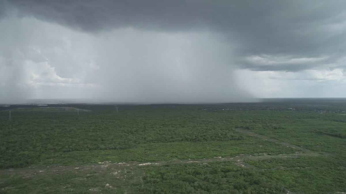 ClimaYucatan's tweet photo. Cortina de lluvia en #Merida. 
Les invito a enviar sus reportes. https://t.co/AvIUZgM6Cs
