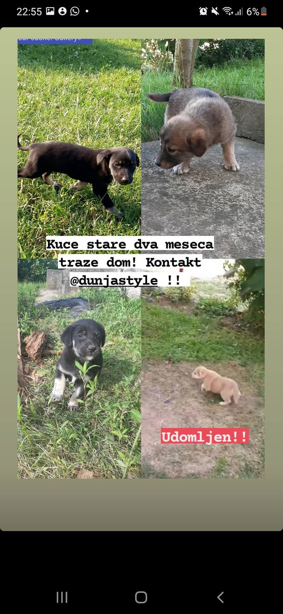 DunjaStyle's tweet photo. @DW_Srpski @jekson81 RT 🙏🙏🙏 https://t.co/oRLXc0mAPY