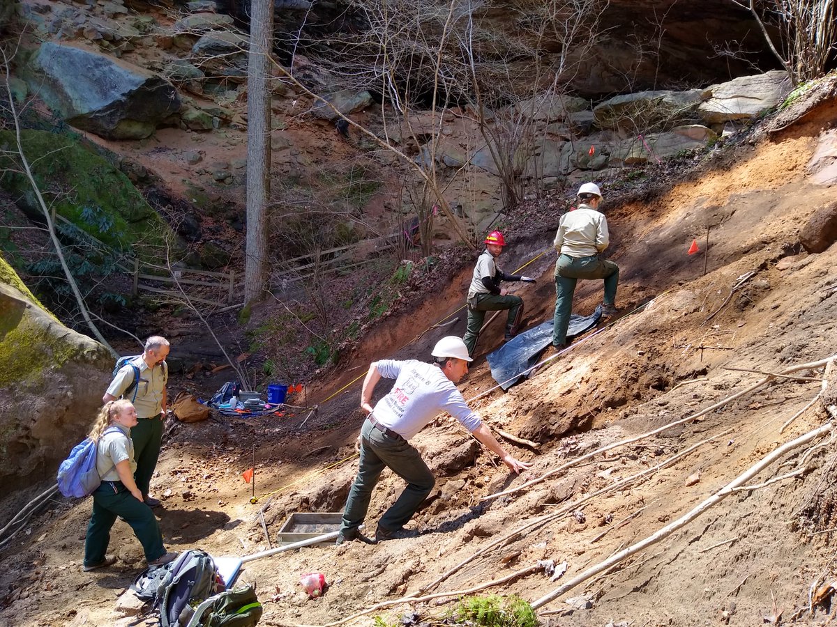 Daniel Boone NF tweet media