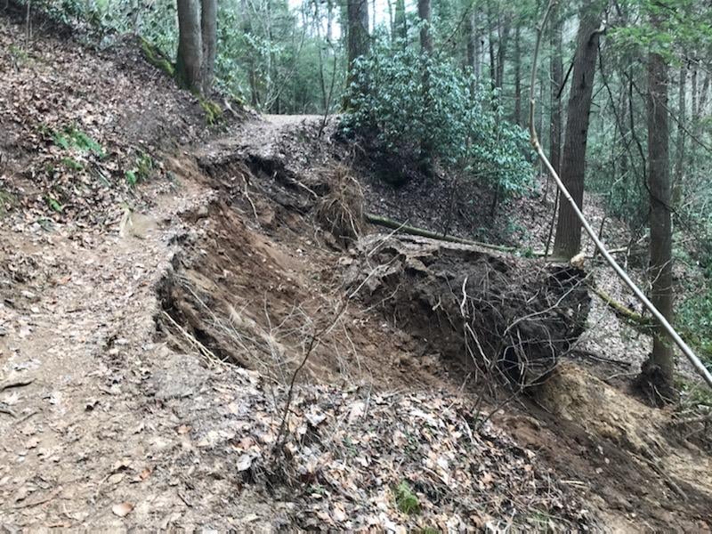 Daniel Boone NF tweet media