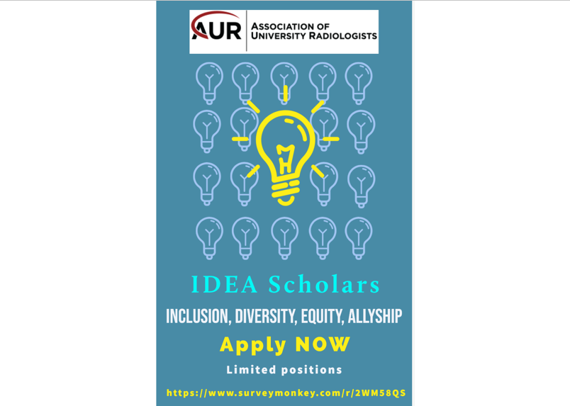 Do you want to be a diversity champion for your institution? Apply to be a part of the inaugural @AURtweet IDEA Scholars Certificate program to develop the skills you'll need! More info: bit.ly/2TLyxHS Apply here: bit.ly/3iwDf6K @RADiversity