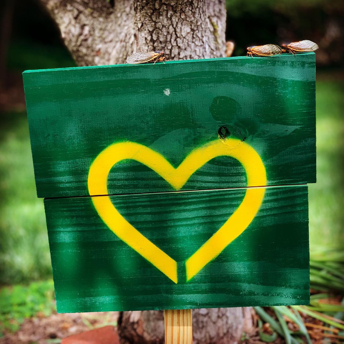 TeresaLill262's tweet image. Oh, and they like my #RusticLove sign! 😁