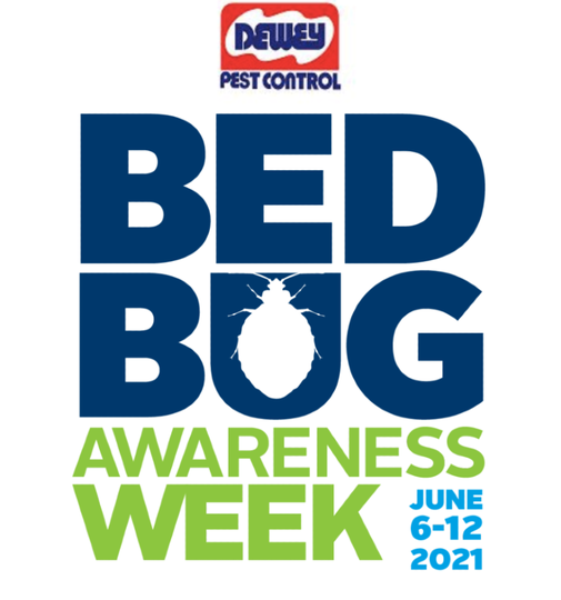 DeweyPestCtrl's tweet photo. Did you know it is Bed Bug Awareness Week?
Call (877)-339-3973 to set up a Bed Bug inspection!
#deweypestcontrol #bedbugs #bedbugsbite #bedbugawarenessweek #bedbuginfestation #pestcontrol #pestcontrolservice #pestcontrollife #familyowned #Since1929 https://t.co/O4onzn9Kwt