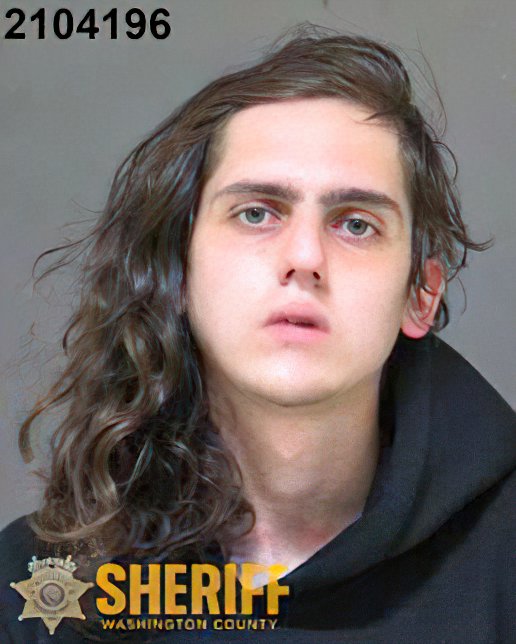 MrAndyNgo's tweet photo. Breaking: Portland antifa member Jarrod "Sofie" DeFerrari has been arrested again. She's charged with 1st-degree burglary &amp; other crimes. She's being held in Washington County (next to Portland) on more than $500k. Two weeks ago she was arrested w/a trove of weapons. https://t.co/OoVduvqehF
