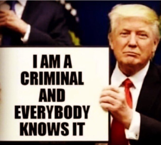 Brix4815's tweet photo. @kayleighmcenany https://t.co/0QdFFw7Pj1