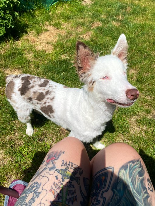 Watch 🌈 kezia slater💘's leaked NSFW photo on TwXstars