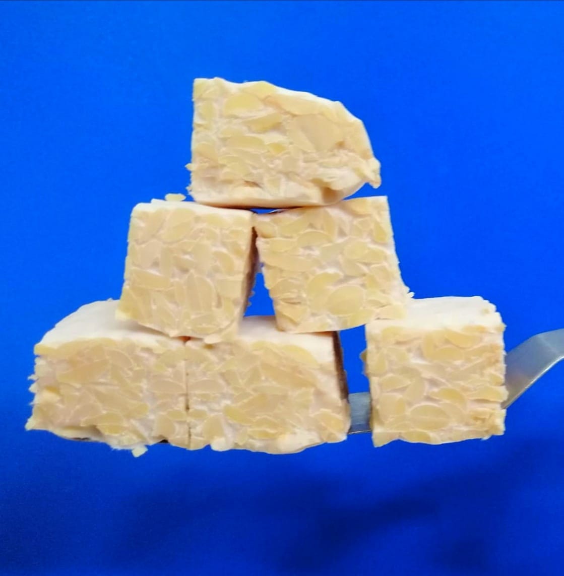 aminoteka's tweet image. The white mycelium (in this case Rhizopus Oryzae) is what holds the grains (in this case soybeans) together into a compact cake. This is how our fresh tempeh looks like, pretty photogenic, huh? 
#itismagic
#tempehuruguay
#aminoteka
#aminotekatempeh