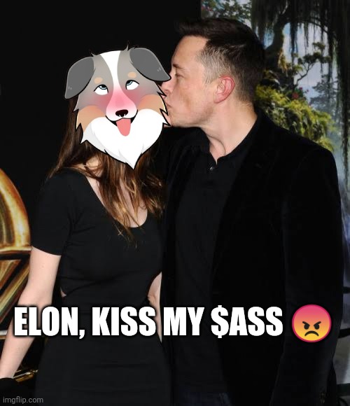 _Bhanot's tweet photo. @LorettaCrypto $ASS #Elonmusk #Binass #assfinance https://t.co/lY5Mf4bwGs