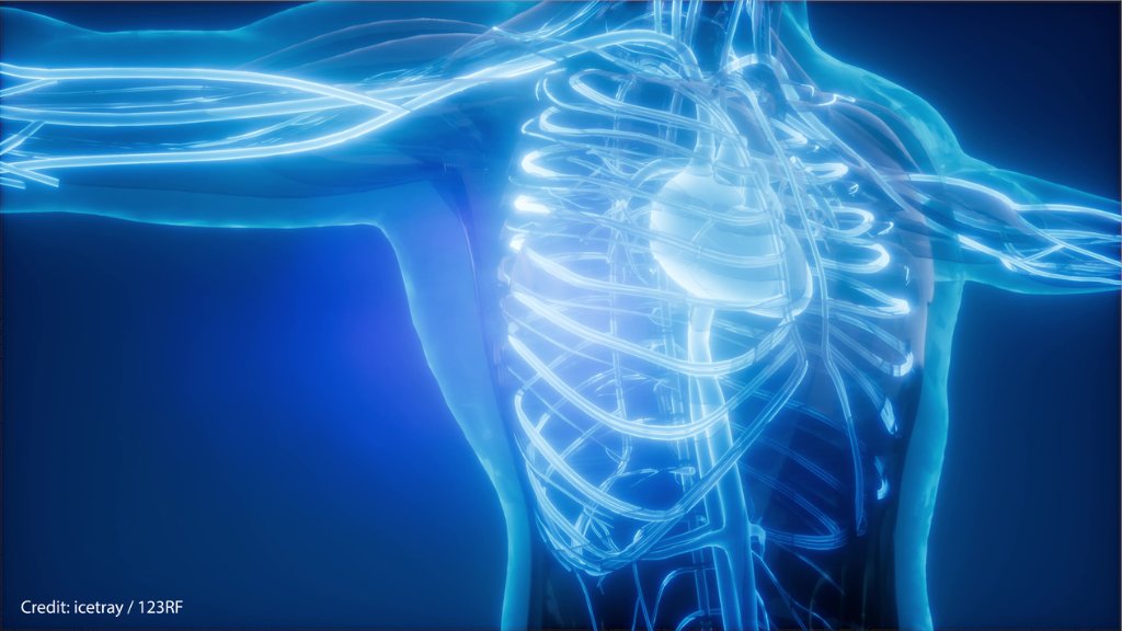 NASA's tweet photo. Cheers to the teams of scientists from the Wake Forest Institute for Regenerative Medicine who have won our Vascular Tissue Challenge. Their contributions have accelerated bioengineering innovations to benefit those on Earth and in space. Read more: https://t.co/WzAliA63h5 https://t.co/CgQ66VcwaA