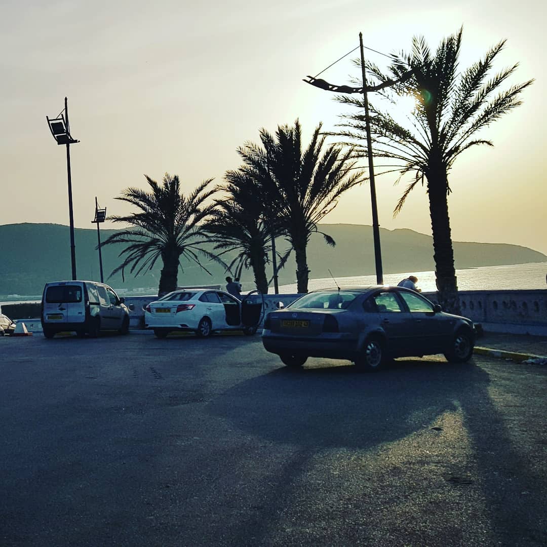 IOucief's tweet photo. #غروب_الشمس على شاطىء #القالة 😍🥰 https://t.co/J0qUSxeqHj