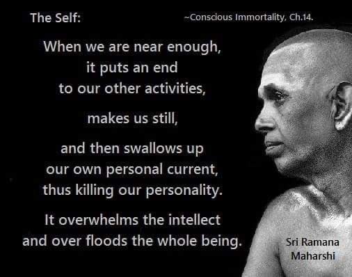 What everyone really needs today....just go inside and be still #meditation #ramana Maharshi #inner life #happinessinside