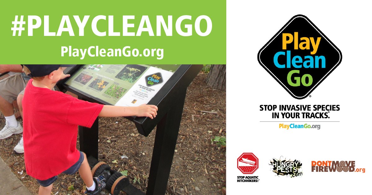 OISCouncil's tweet photo. Happy PlayCleanGo Awareness Week! Did you know weed seeds can travel on your dirty shoes? Be sure to brush your boots before and after you hike to prevent the spread of invasive species! For more info visit: https://t.co/54XkpNOKw1 https://t.co/cf0I4zpF9E