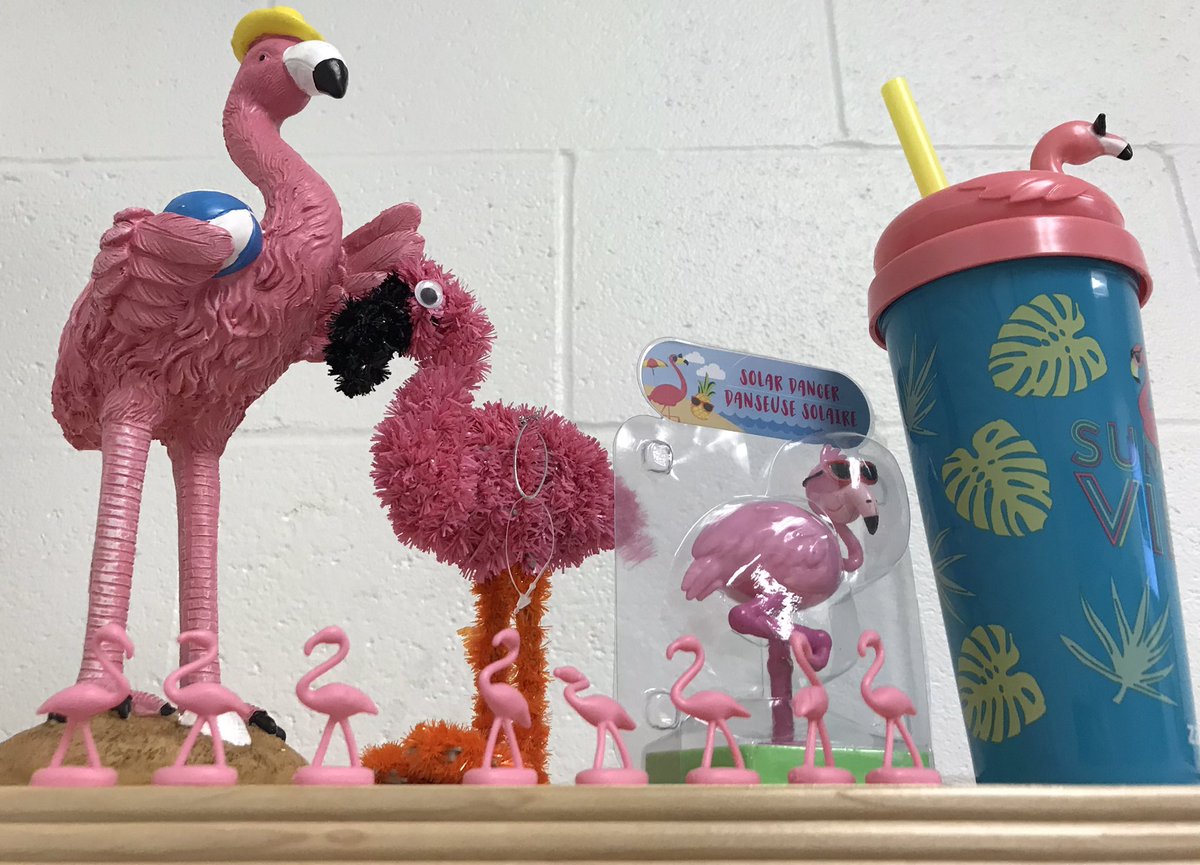 I hate flamingos <a href="/shsindiantribe/">Stafford High School</a>.  No, I love them.  No, I love them who give them.  #thanks4pranks