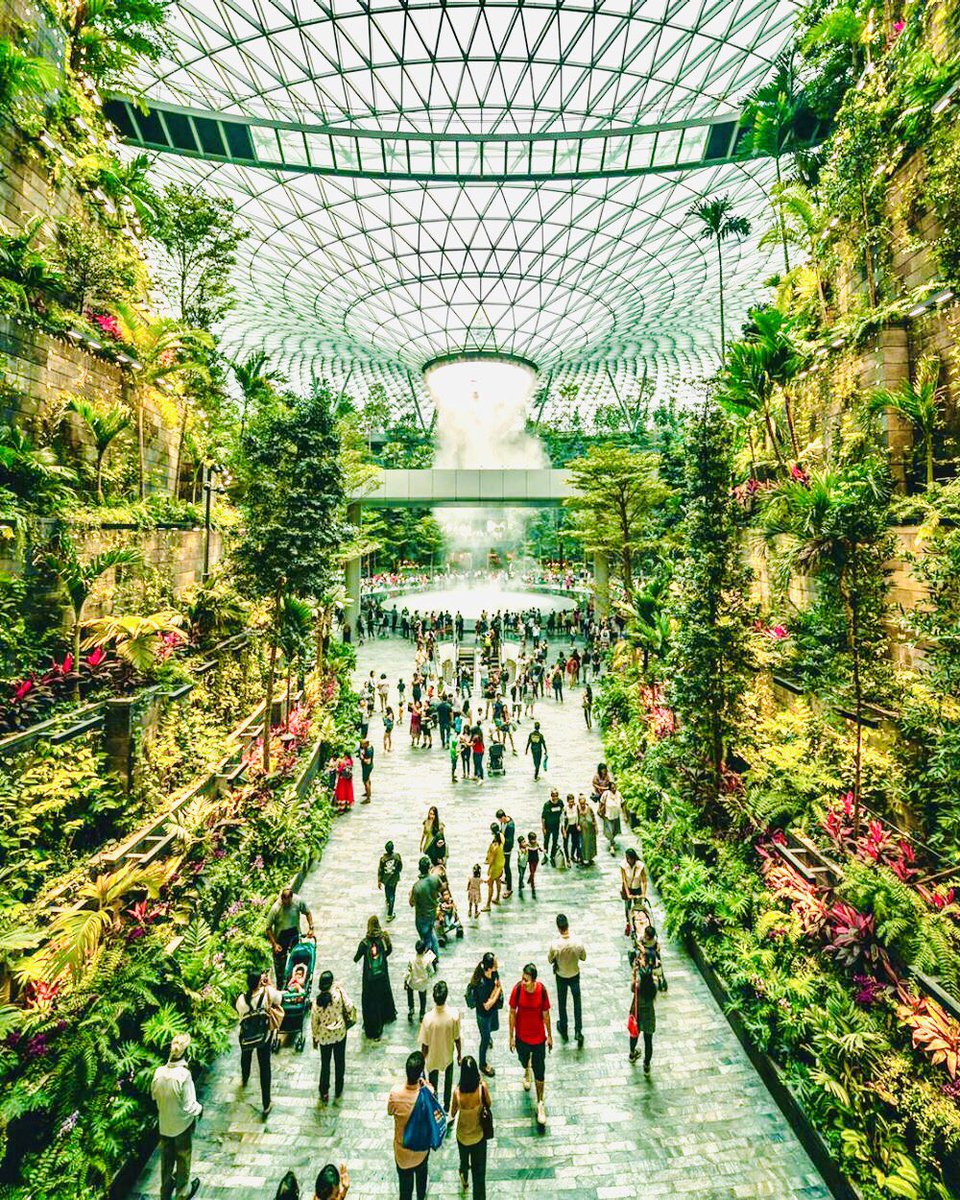 Rich in lush verdant, Jewel Changi Airport #Singapore houses more than 2000 trees and palms and over 100000 shrubs. These plants span 120 species.

#sustainability #architecture #biophilia #biophilicdesigns #biophilicbuildings #ClimateAction  #sustainblefuture #interiordesign