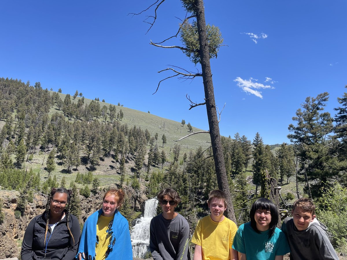 shaunsmith3rd's tweet photo. From bears to bison by our van, another fun adventure in Yellowstone NP. We even saw real wolves in the wild and a park ranger demonstration! #cpsbest @Szydlowskim #placebaselearning https://t.co/Pkw8fRHm7X