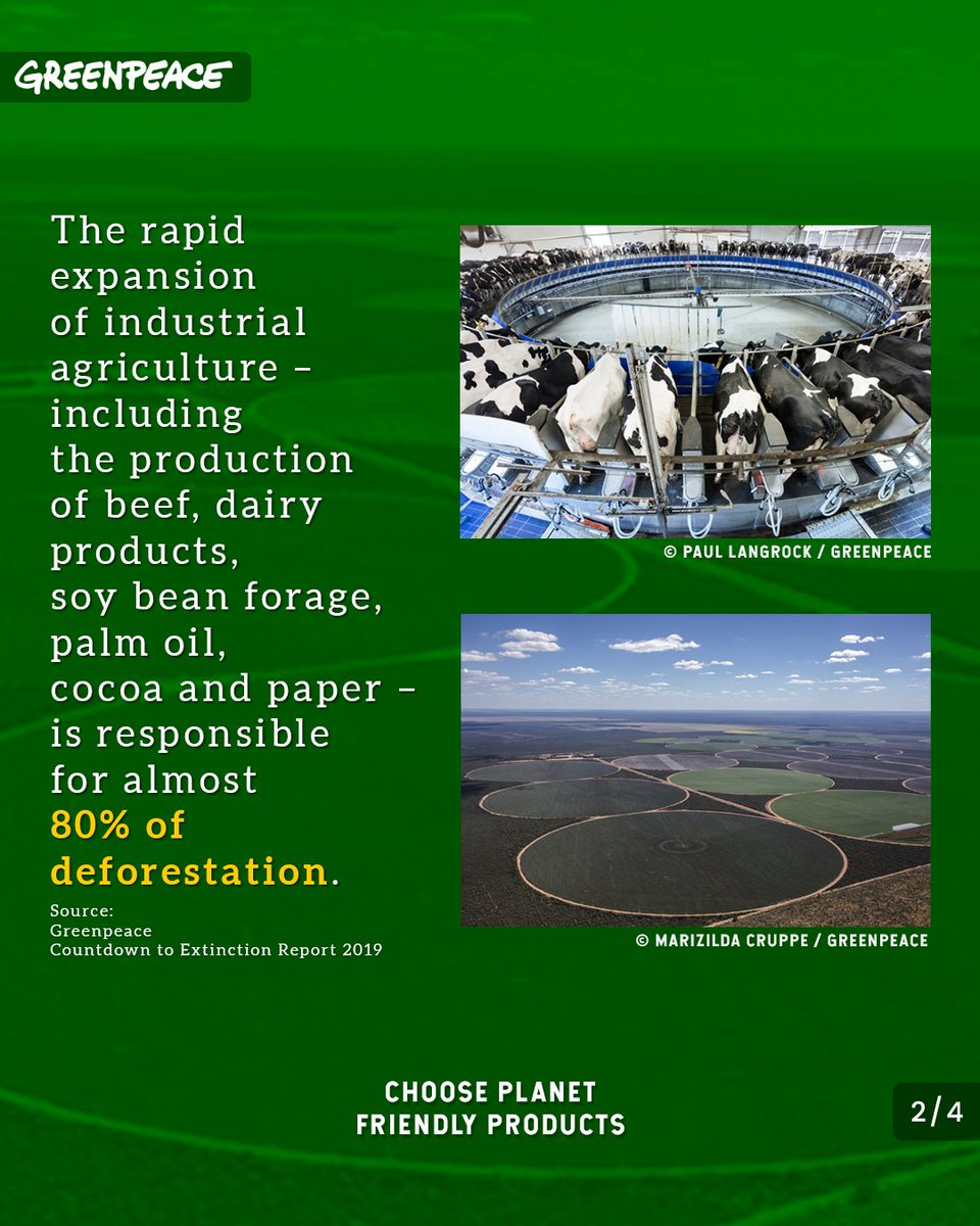 Greenpeace's tweet photo. Do you know how industrial production affects the Earth?
In #CountdownToDestruction you will understand the links between the food we eat, the destruction of the world's forests and vital ecosystems and the climate crisis.
Watch and take action >> https://t.co/cnbOGk6cMG https://t.co/0WXNV2HFlg