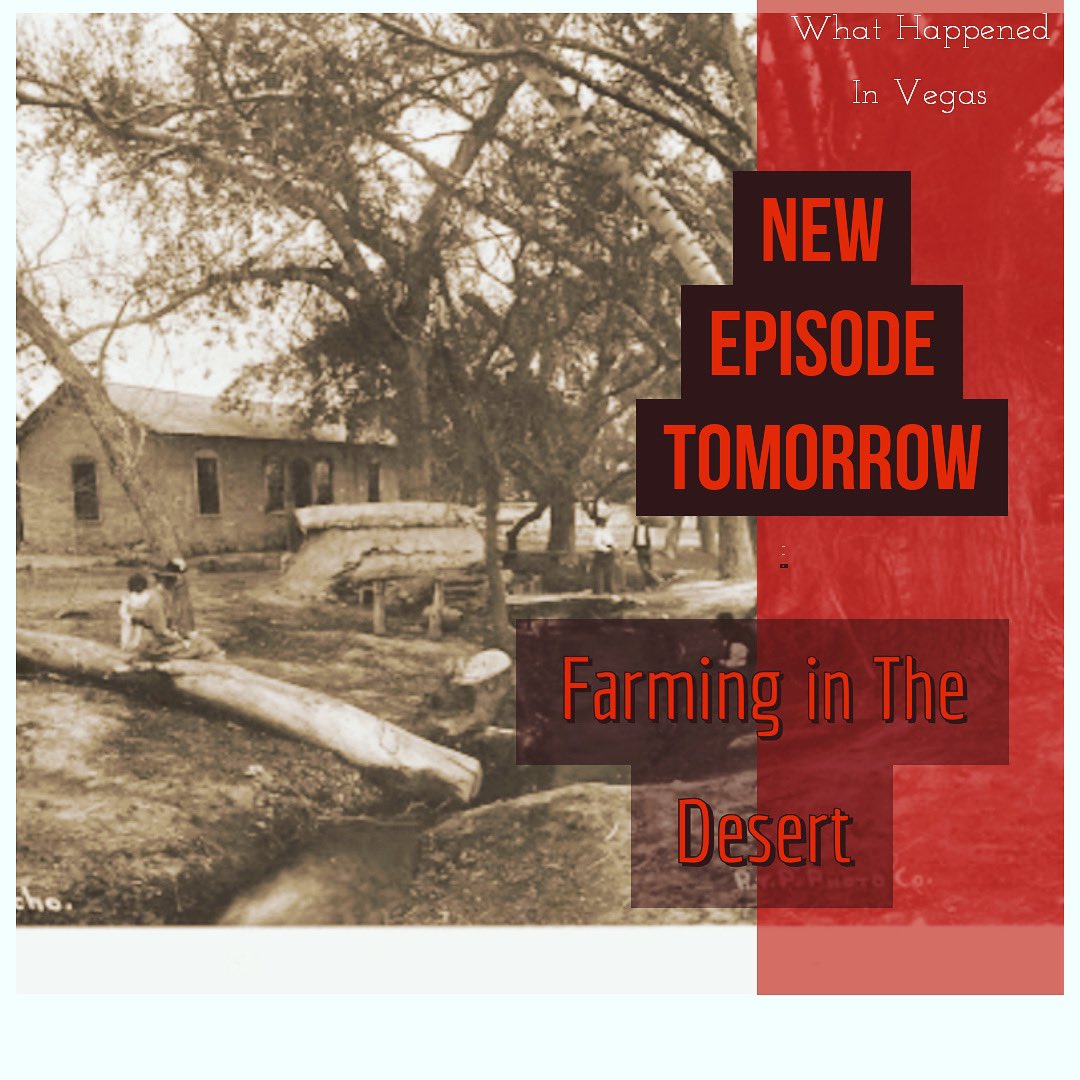 What Happened in Vegas (@lasvegaspod) on Twitter photo 