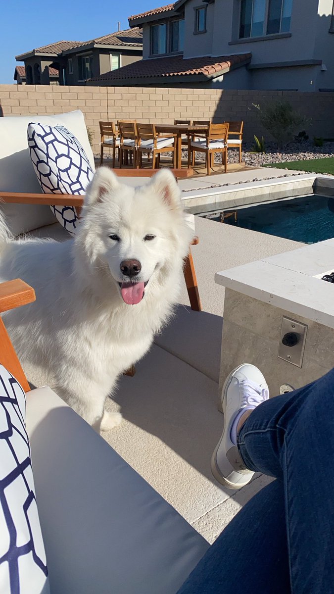 SWInjuryLaw's tweet photo. #padrespets https://t.co/xtOdx4DYd1