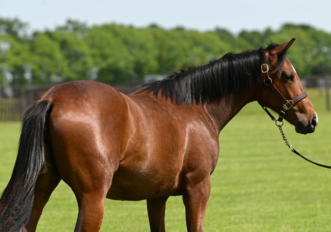 Conversation Between ひとみ And Shiraoifarm 1 Whotwi Graphical Twitter Analysis