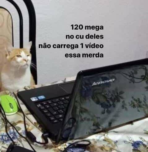 Meu deus eu gritei tanto com meu celular quando vi que meu whatsapp caiu que meus pais estão achando que sou esquizofrênico