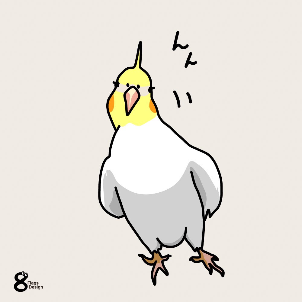 ベクターシェルフ 見てくるオカメインコ 無料イラスト素材です 独特な仕草で見てきます 何だ何だ イラスト イラストレーター デザイン デザイナーと繋がりたい デザイナー Designer Freematerials フリー素材 Illustrator 絵描きさんと繋がり