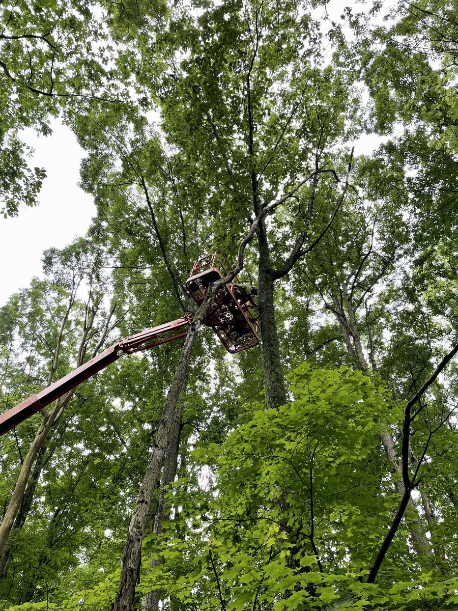 Koong Yi tweet media