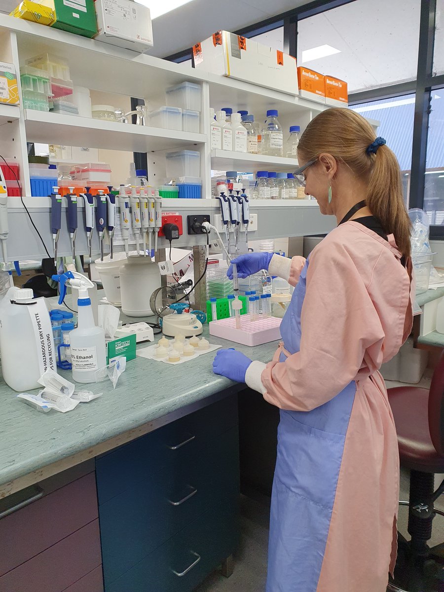 New job! 👉Consider yourself highly skilled in #molecularbiology, #microbiology, #biochemistry or #microscopy? 

We’re looking for an experimental &amp; laboratory technician to research invertebrate species within tropical #ecosystems. 

aims.gov.au/Experimental-a…