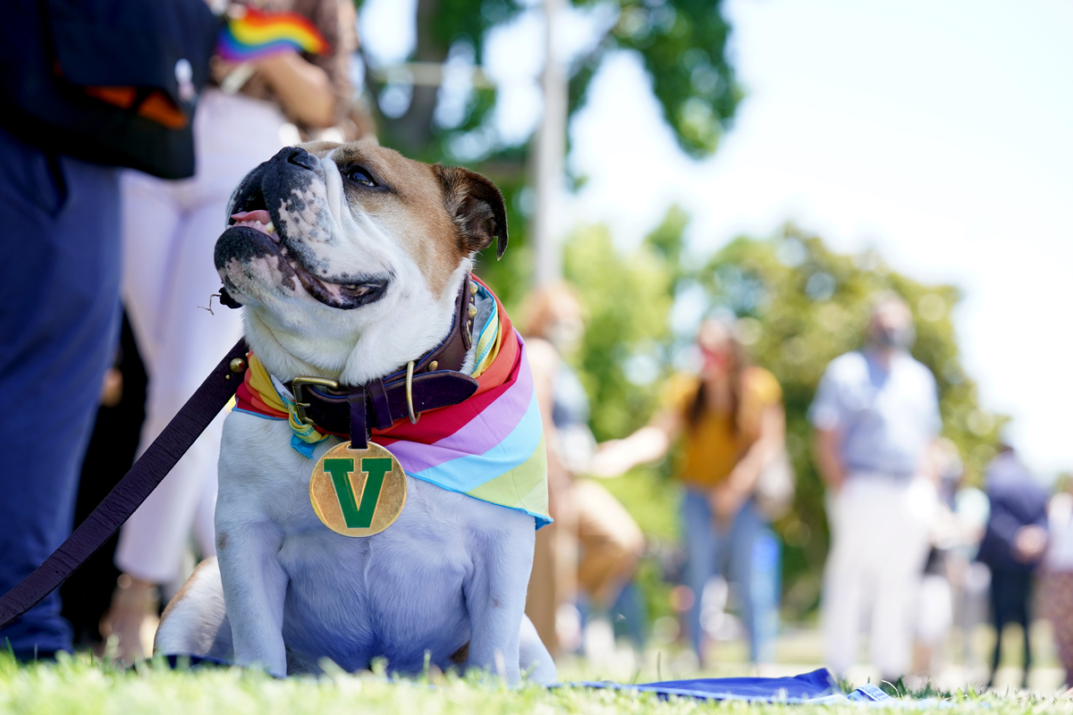 Fresno_State's tweet photo. In celebration of #Pride Month, we raised a rainbow flag on campus today. 🏳️‍🌈 

“We at Fresno State are stronger because of the diversity of the LGBTQ+ students, faculty, staff and allies who make significant contributions each and every day,” said President Jiménez-Sandoval. https://t.co/EY7Q2rABGH
