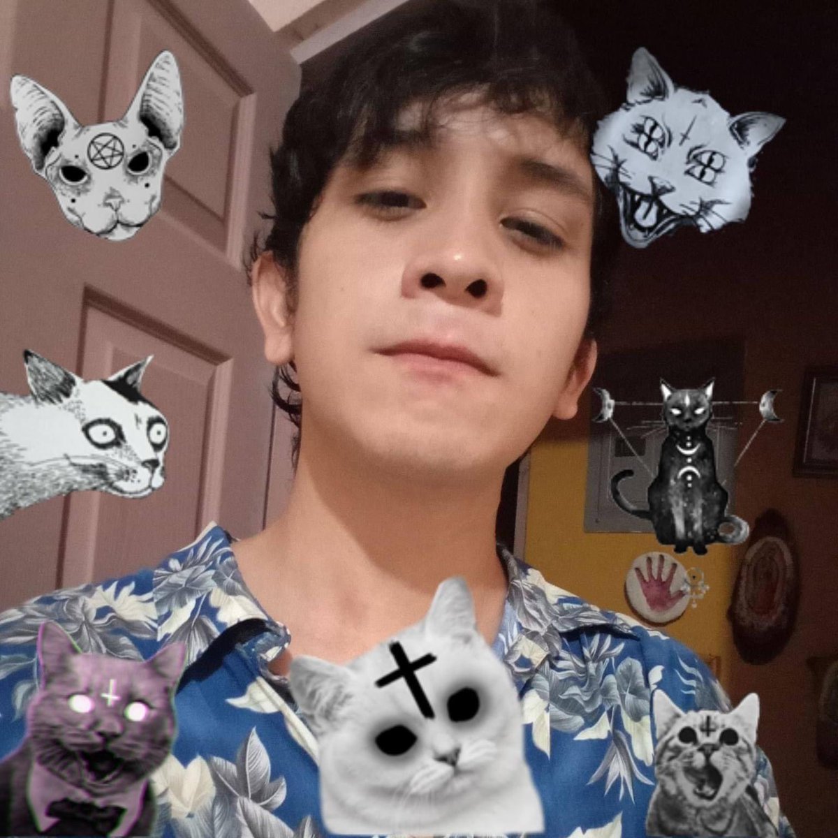 Profesor Monimbó tweet media