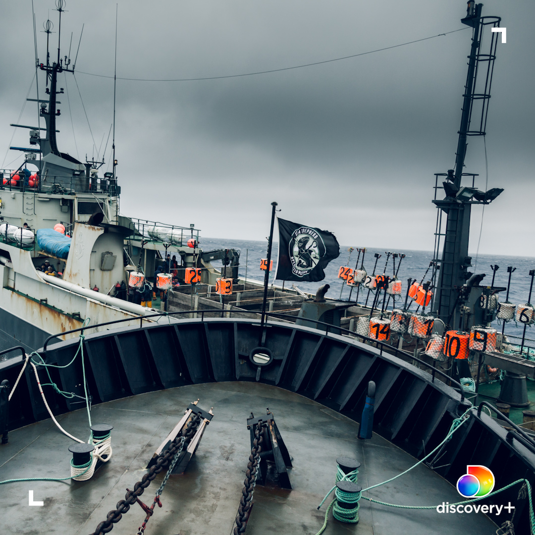 AnimalPlanet's tweet photo. The Sea Shepherd is on a mission to protect the oceans from illegal fishing🌊

#ChasingtheThunder now streaming on #discoveryplus.

👉 https://t.co/fpJ08WYDKn https://t.co/kMdnR4UGcN