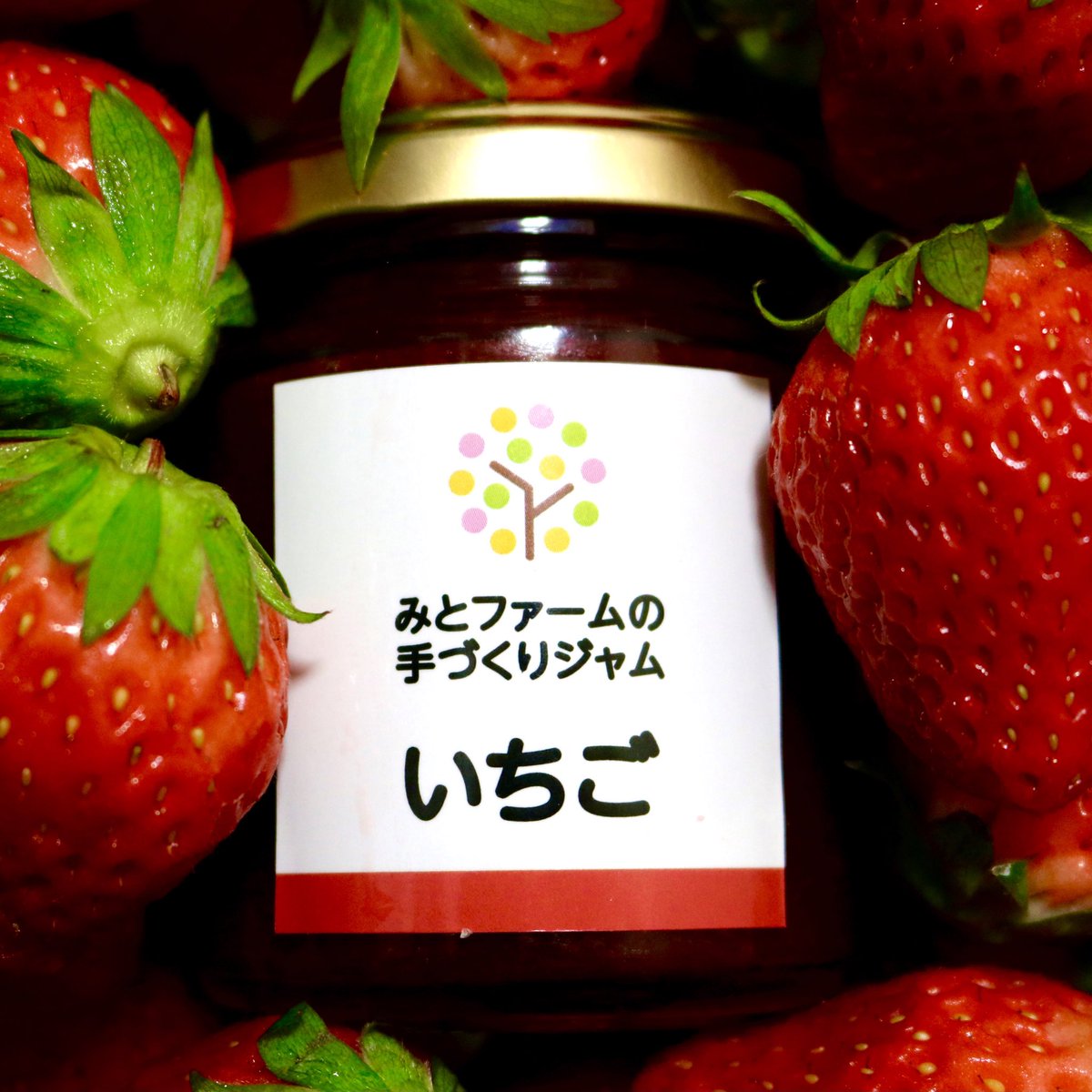 mitofarm's tweet photo. 愛知県豊田市にある自家農園で収穫した低農薬の果物や野菜を使用し、無香料・無着色・防腐剤不使用な手作りジャムを作っています。
…‥・‥…━…‥・‥…━…
◆BASE shop◆
https://t.co/VUwJCOSl11
◆minne shop◆
https://t.co/hT7LcEzafp
…‥・‥…━…‥・‥…━…
#BASE #みとファーム https://t.co/6uHTTMs46v