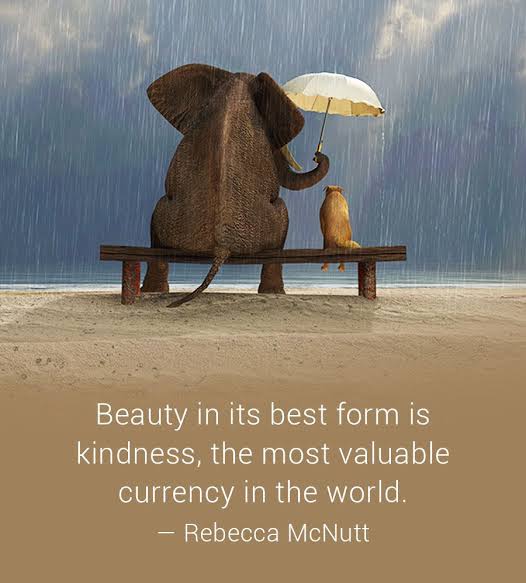 <a href="/thequote/">The Quote</a>