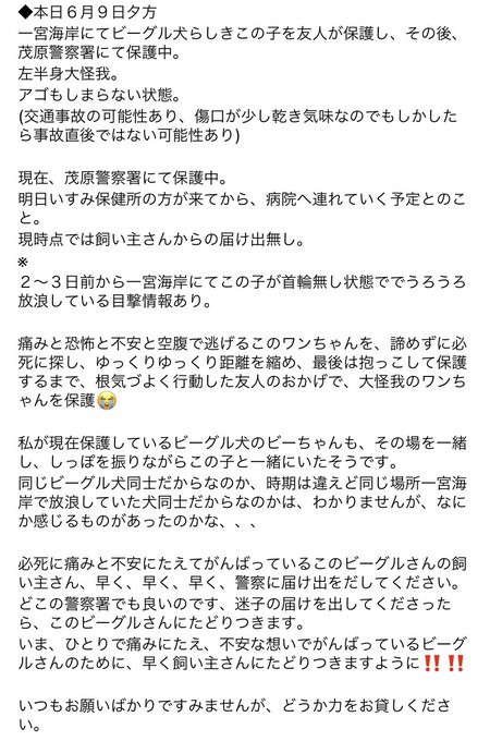拡散希望 5 3 午前7時ごろに愛知県一宮市でシュナウザーの男の子を友人が保護致しました 他犬に対してとても友好的で警戒はするものの 人間にも友好的な一面が見られます 身体的特徴としては尻に皮膚炎が見られておられるそうです 心当たりがある方はdmお待ちし 拡散希望 5 3 午前7時ごろに愛知県一宮市でシュナウザーの男の子を友人が保護致しました 他犬に対してとても友好的で警戒はするものの 人間にも友好的な一面が見られます 身体的特徴としては尻に皮膚炎が見られておられるそうです 心当たりがある方はdmお待ちし