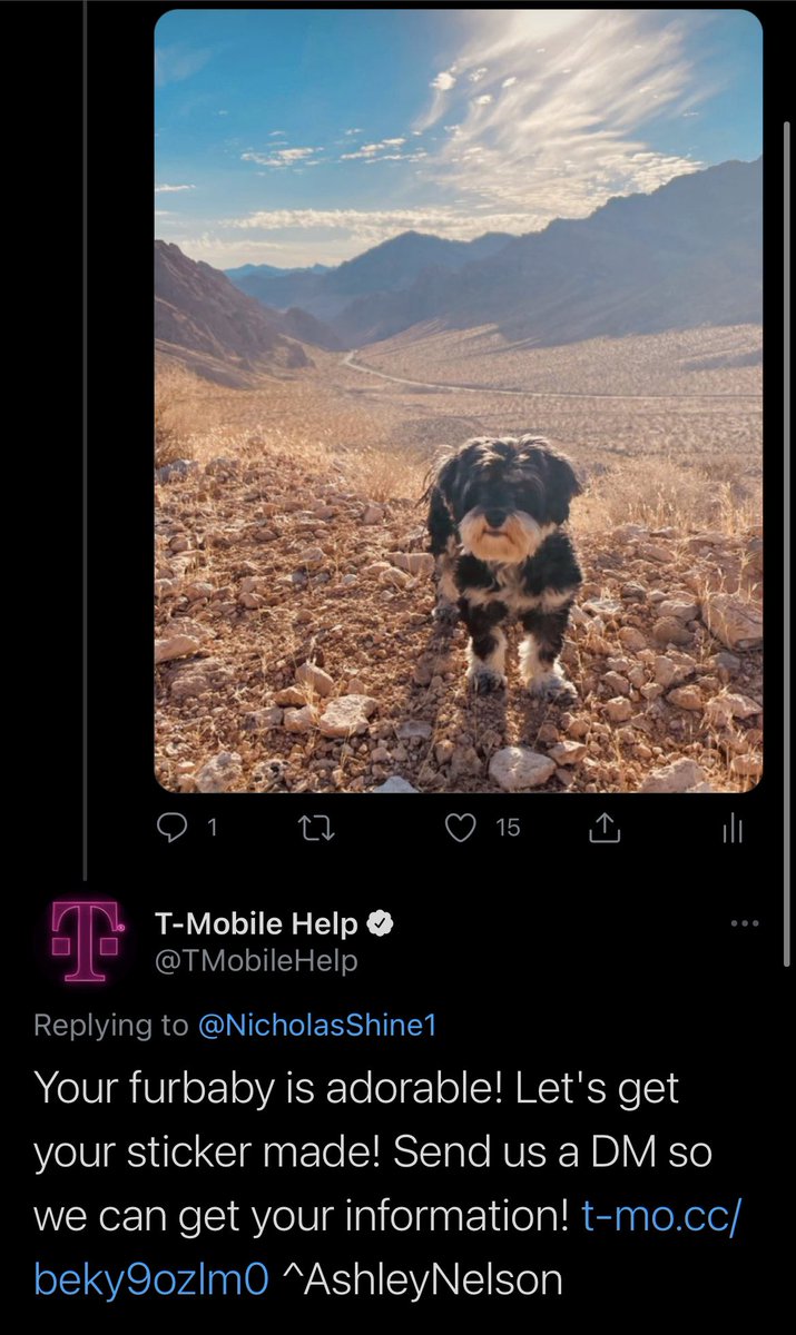 How exciting! My baby boy Gomez is getting immortalized forever. #DogDad