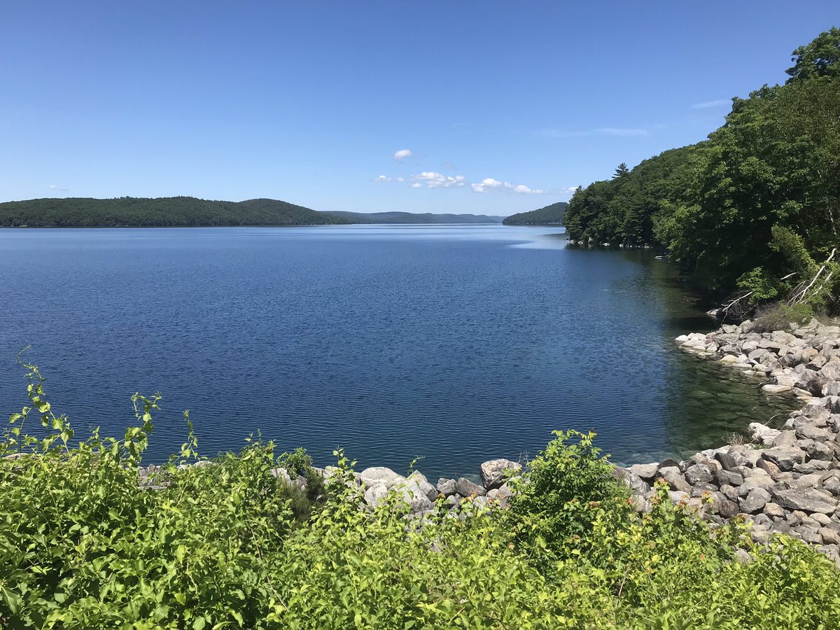 Join us! 
✅interesting project
✅great lab mates 
✅beautiful location (shown)
✅most lab equipment already has googly eyes properly affixed (data available upon request)