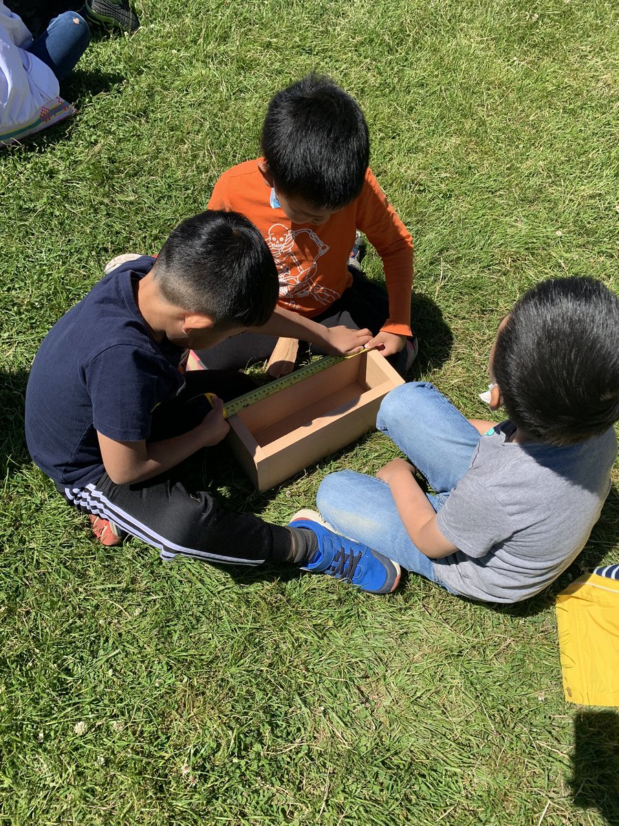 Petits Griffons tweet media