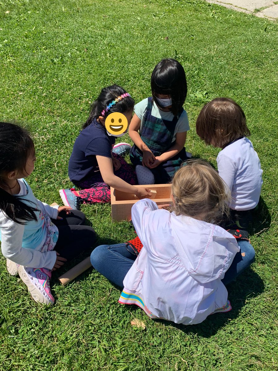 Petits Griffons tweet media