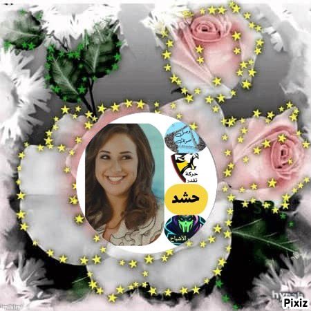 🕊️🔻 غداً تطير العصافير 🕊️ tweet media