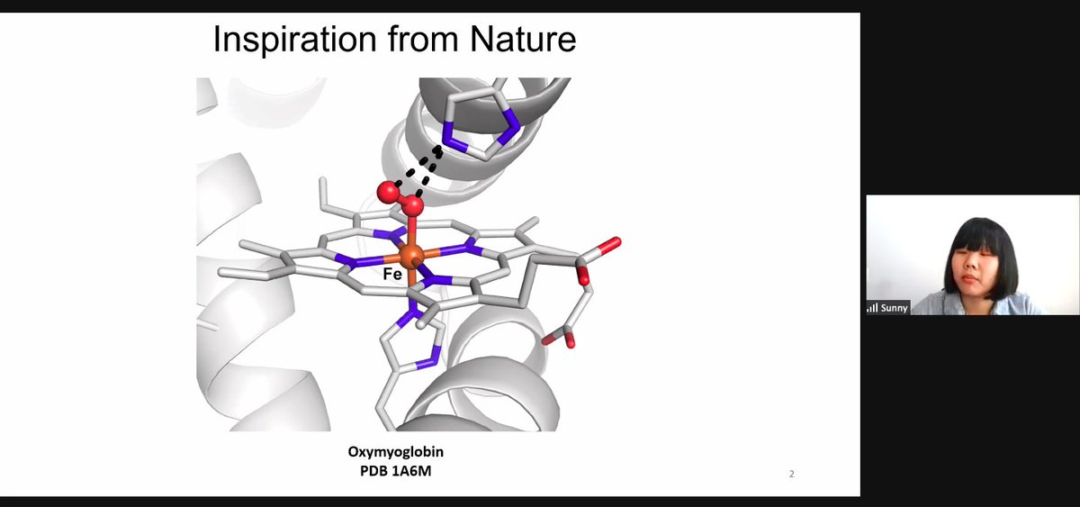 Borovik Lab tweet media
