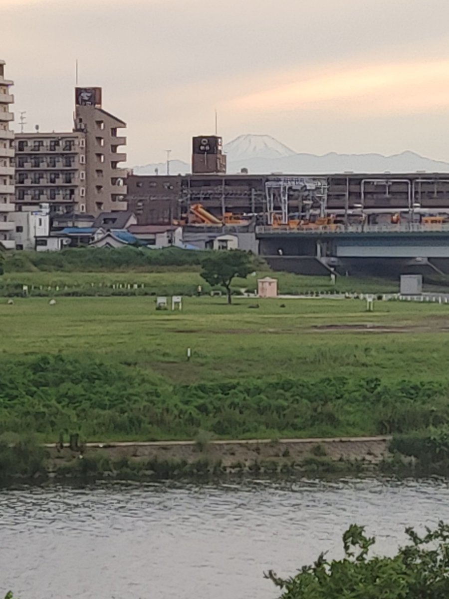 おはよーございます！

朝から散歩😆

多摩川沿いから、薄っすら富士山見えたよ☺

いい一日になりますように！

#CBD
#散歩
#富士山
#GreenHempLife